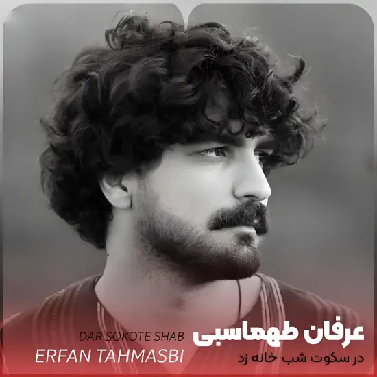 Erfan Tahmasbi - Dar Sokote Shab - Music